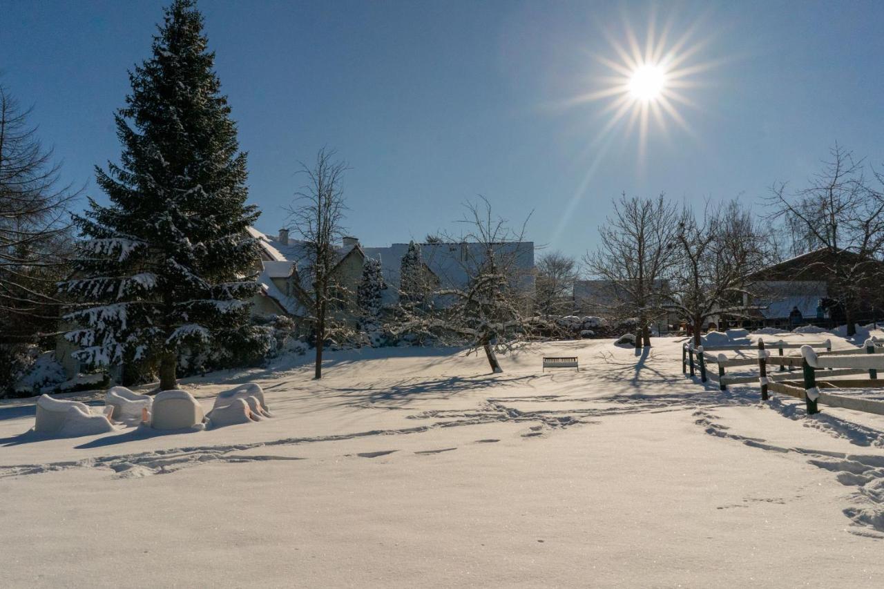 Homann Sauerland Apartment Brilon Bagian luar foto